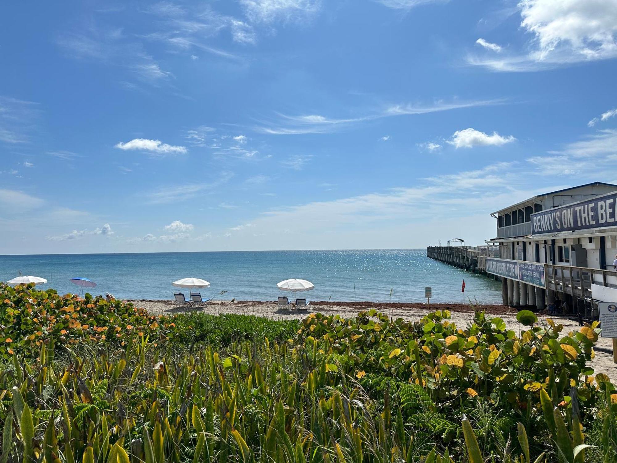 5 Min To Beach Large Living Room Fenced Backyard Bbq Firepit Driveway Boat Parking Lake Worth Beach Eksteriør bilde